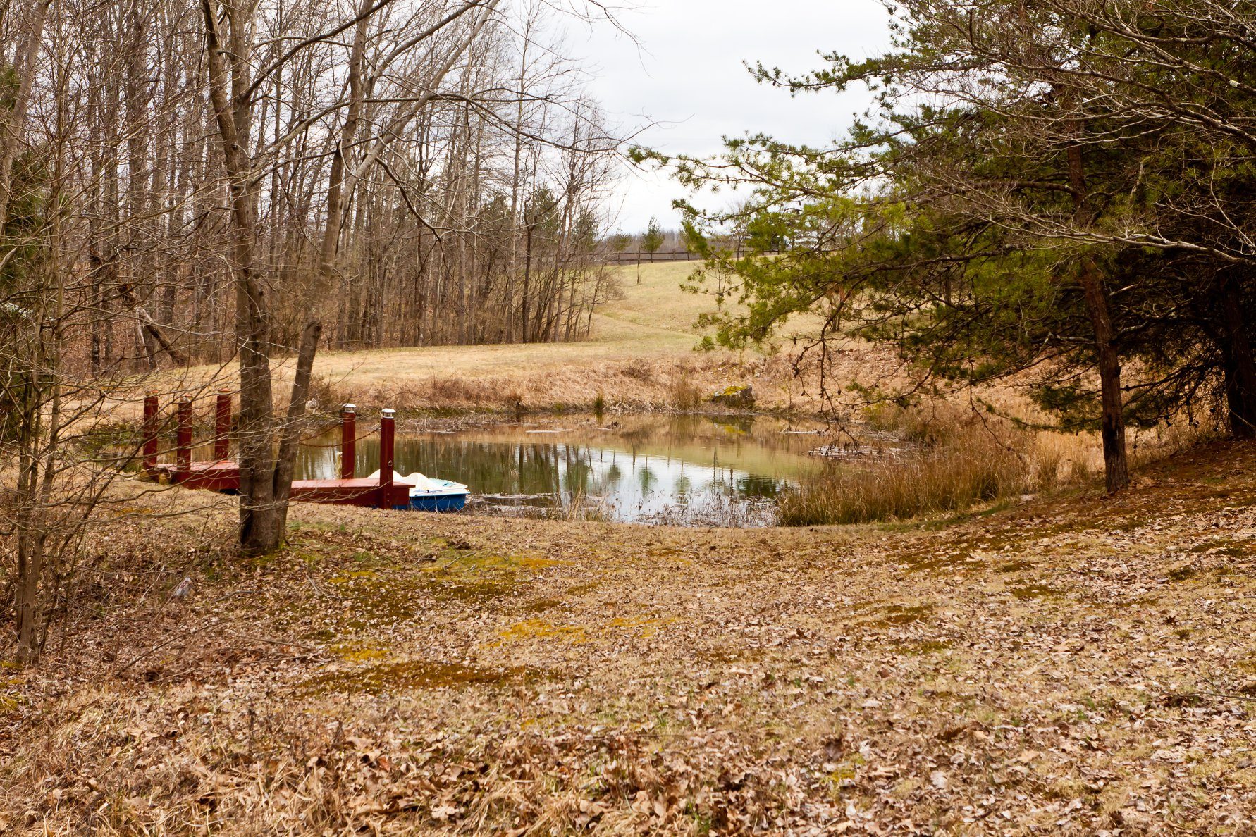 Photo 2175_7823.jpg - Small Pond on property
Paddle boat and gazebo

