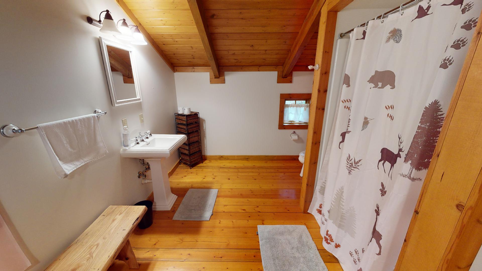 Photo 619_10214.jpg - Located in the loft, this is a common bath, so guests utilizing the bedroom or pullout couch have direct access.